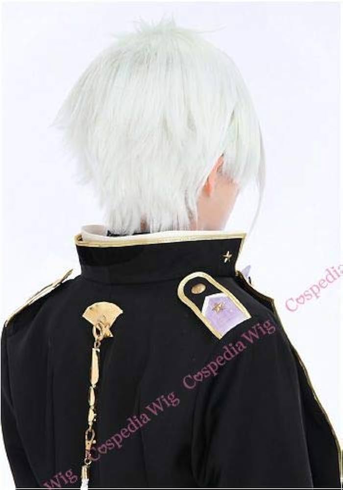 Amazon.co.jp: 刀剣乱舞 膝丸 風 ウィッグ キャラウィッグ 美容